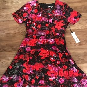 NWT BB Dakota floral flare dress size 4